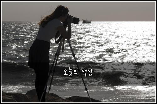 오늘의 색상