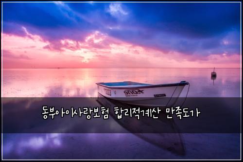 동부아이사랑보험 합리적계산  만족도가
