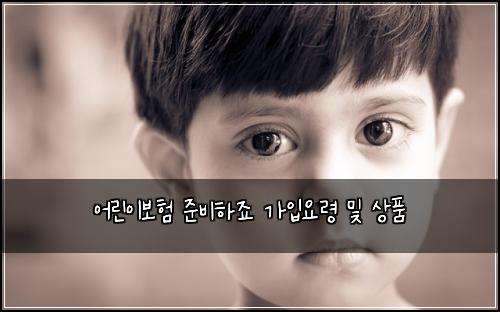 어린이보험 준비하죠  가입요령 및 상품