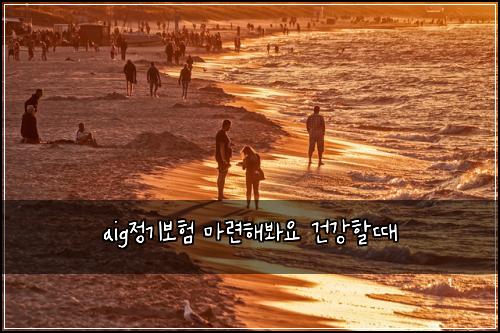 aig정기보험 마련해봐요  건강할때