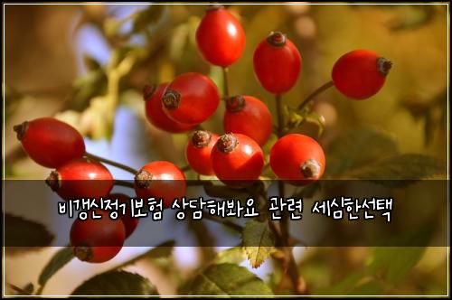 비갱신정기보험 상담해봐요  관련 세심한선택