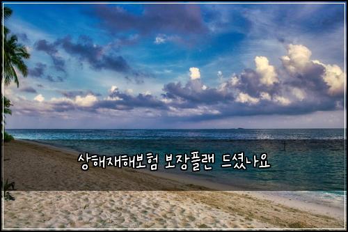 상해재해보험 보장플랜  드셨나요