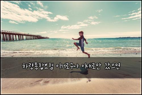 차량종합보험 이거로구나  이대로만 갔으면