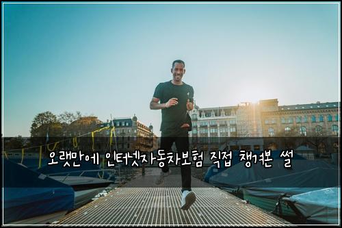 오랫만에 인터넷자동차보험 직접 챙겨본 썰