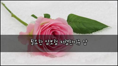 ํ์ํ ์๋ณดํ ์ ๋ ดํ์ด์ ์
