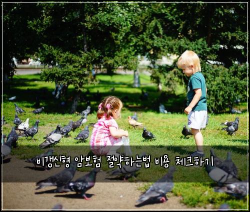 ๋น๊ฐฑ์ ํ ์๋ณดํ ์ ์ฝํ๋๋ฒ ๋น์ฉ ์ฒดํฌํ๊ธฐ