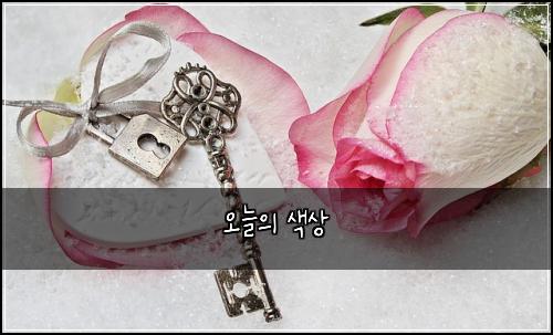 오늘의 색상