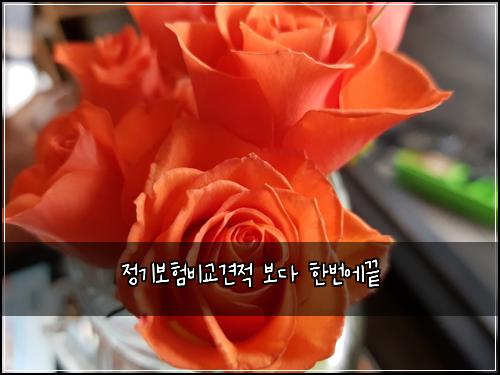 ์ ๊ธฐ๋ณดํ๋น๊ต๊ฒฌ์ ๋ณด๋ค ํ๋ฒ์๋