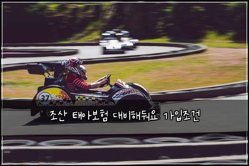 조산 태아보험 대비해둬요  가입조건
