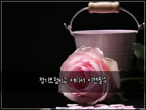 정기보험비교 어디서 이젠필수