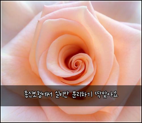 종신보험에서 실비만 분리하기 딱맞아요