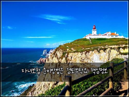 자녀보험 준비방법은  검토부탁요 핵심정보