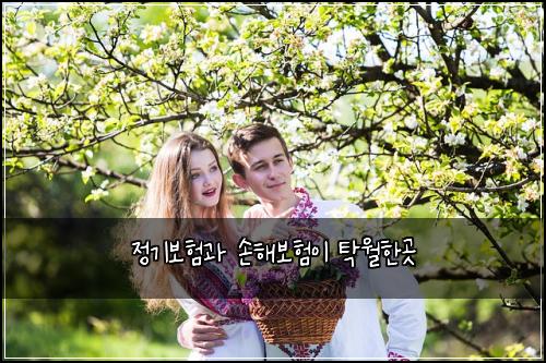 정기보험과 손해보험이 탁월한곳