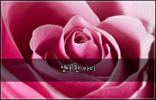 영어 한 마디