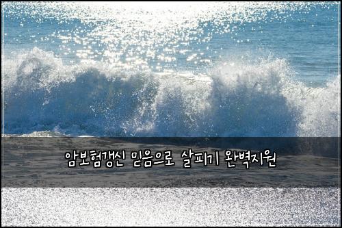 암보험갱신 믿음으로 살피기 완벽지원