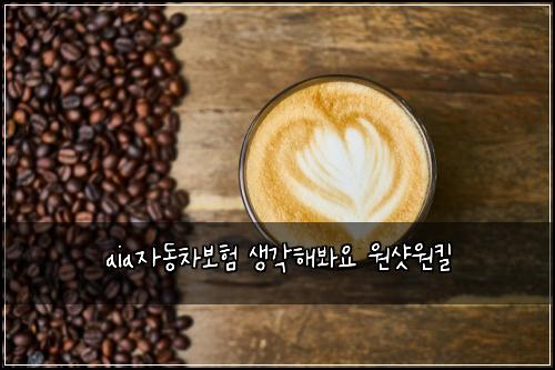 aia자동차보험 생각해봐요  원샷원킬