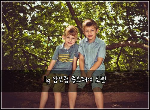 lig 암보험 중요해여  오랜