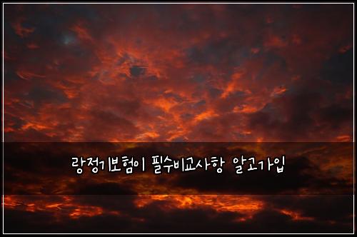 랑정기보험이 필수비교사항 알고가입