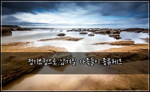 정기보험으로 남겨질 가족들이 종류체크