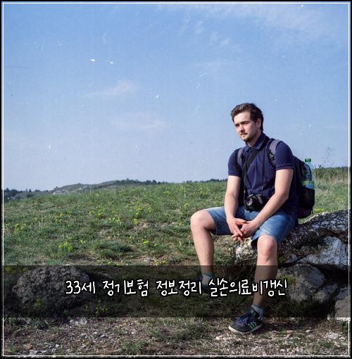 33세 정기보험 정보정리  실손의료비갱신