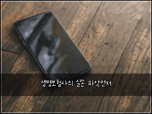 생명보험사의 실손 파악먼저