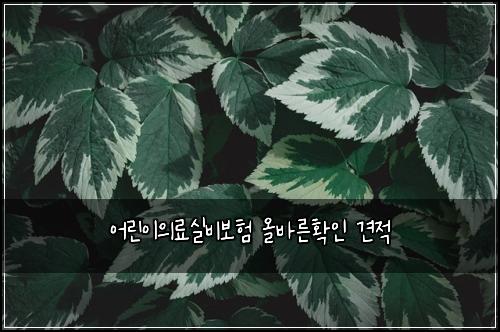 ์ด๋ฆฐ์ด์๋ฃ์ค๋น๋ณดํ ์ฌ๋ฐ๋ฅธํ์ธ ๊ฒฌ์ 