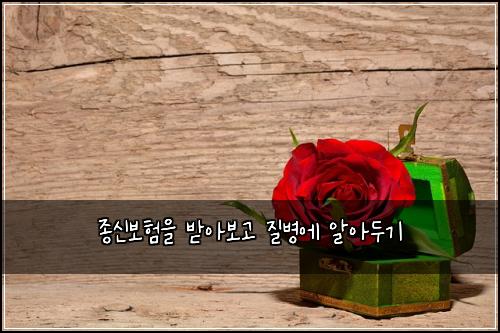์ข
์ ๋ณดํ์ ๋ฐ์๋ณด๊ณ ์ง๋ณ์ ์์๋๊ธฐ