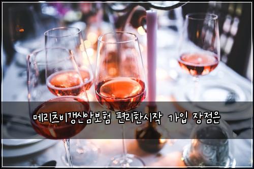 메리츠비갱신암보험 편리한시작  가입 장점은