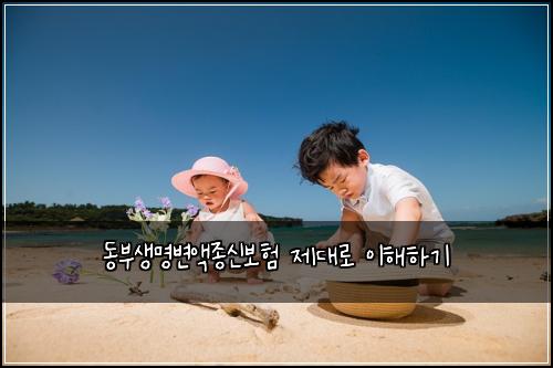 동부생명변액종신보험 제대로 이해하기