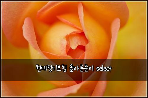 ํ๋์ ๊ธฐ๋ณดํ ์ฌ๋ฐ๋ฅธ์ค๋น select