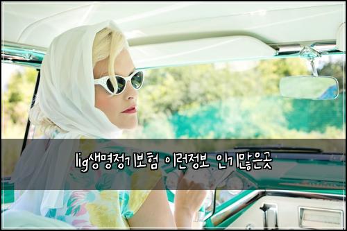lig생명정기보험 이런정보  인기많은곳