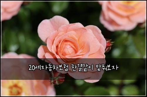 20세자동차보험 한결같이  맞춰보자