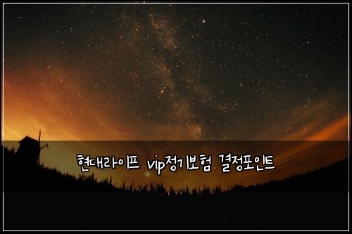 현대라이프 vip정기보험 결정포인트 