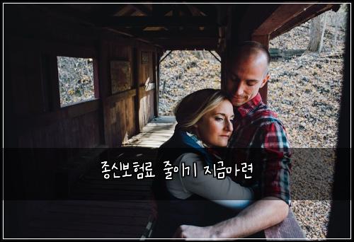 종신보험료 줄이기 지금마련