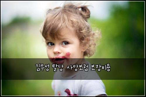 김무성 탈당 사망보험 보장비용 