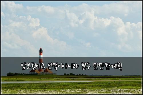 ์๋ณดํ๋น๊ต ์ ํ์ด์๋๋ผ ํ์ ํํํ๊ณํ