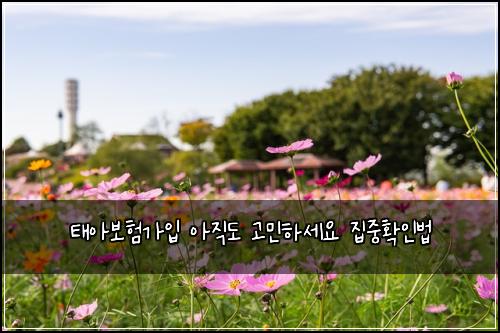 태아보험가입 아직도 고민하세요 집중확인법