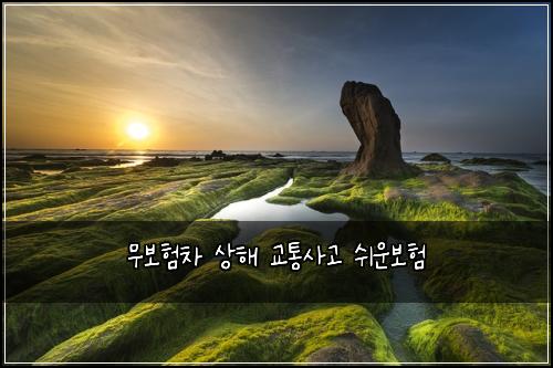 무보험차 상해 교통사고 쉬운보험