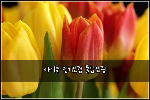 아이들 정기보험 풀담보형 