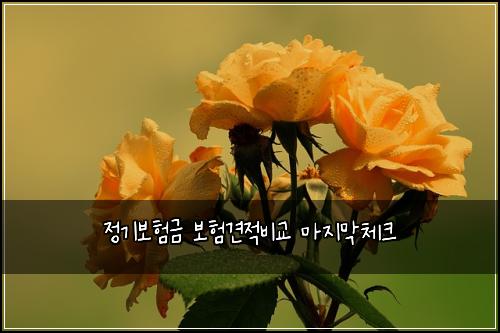 정기보험금 보험견적비교 마지막체크