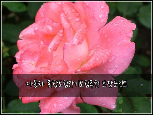 자동차 종합보험만기보험추천 보장포인트