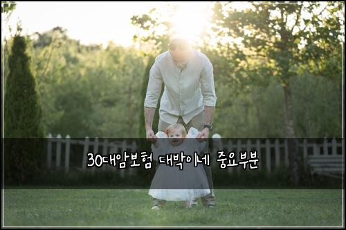 30대암보험 대박이네  중요부분