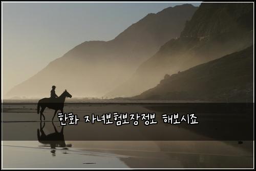 한화 자녀보험보장정보 해보시죠
