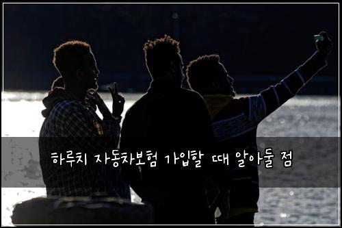 하루치 자동차보험 가입할 때 알아둘 점
