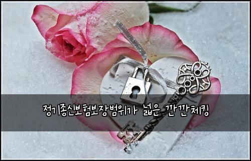 정기종신보험보장범위가 넓은 깐깐체킹