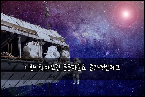 어린이화재보험 든든하군요  효과적인체크