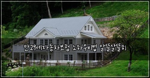 만29세자동차보험 노하우비법  알뜰살뜰히