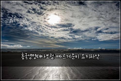 흥국생명태아보험 빠르게준비  요지파악