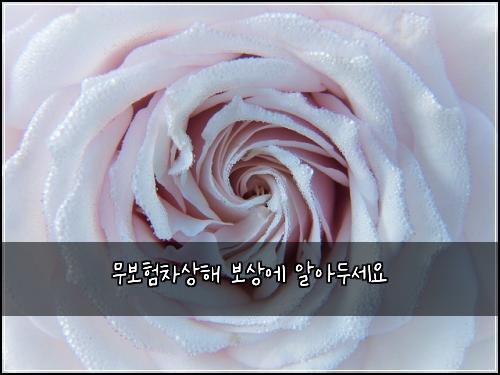 무보험차상해 보상에 알아두세요