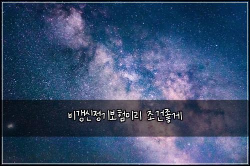 비갱신정기보험미리 조건좋게